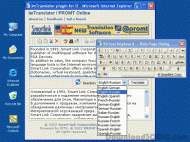 Im Translator for IE screenshot